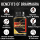 Brahmagra One