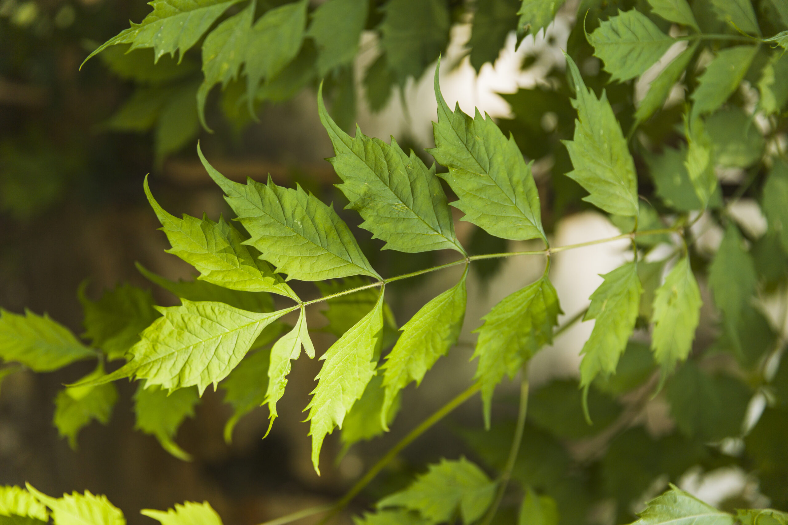  Say goodbye to dry skin – It’s Glorion all the way!